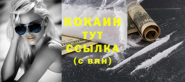 индика Нефтегорск