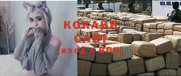 гидра Аркадак