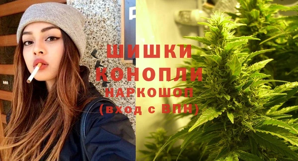 прущие грибы Армянск